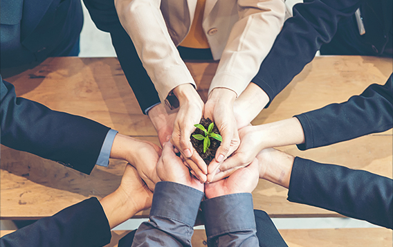 شركة شاوشينغ رويين للمنسوجات المحدودة.